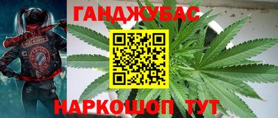 твердый Пугачёв