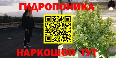твердый Пугачёв