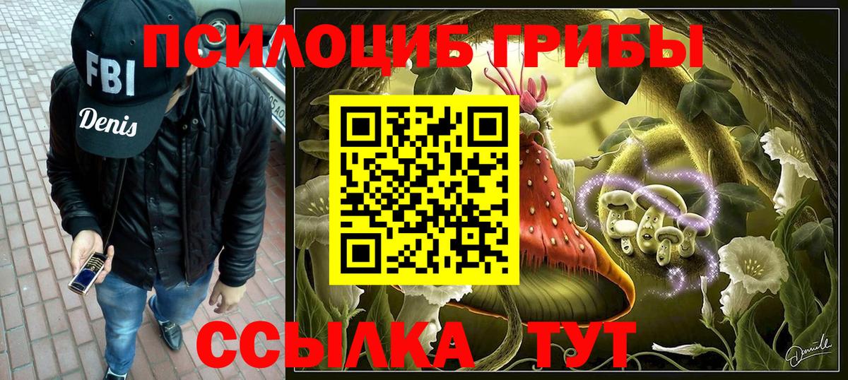 Псилоцибиновые грибы Cubensis Светлоград